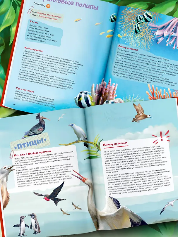 Книга Красная книга планеты для детей. Редкие и исчезающие виды дикой природы (Елена Мигунова) — 5