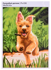 Картина по номерам "Попробуй догони"