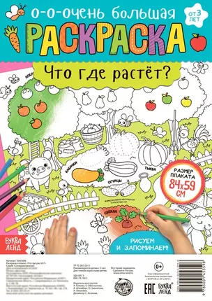 Что где растет? Раскраска-плакат — 2798797 — 1