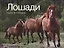 Лошади. Сила и грация — 2380818 — 2