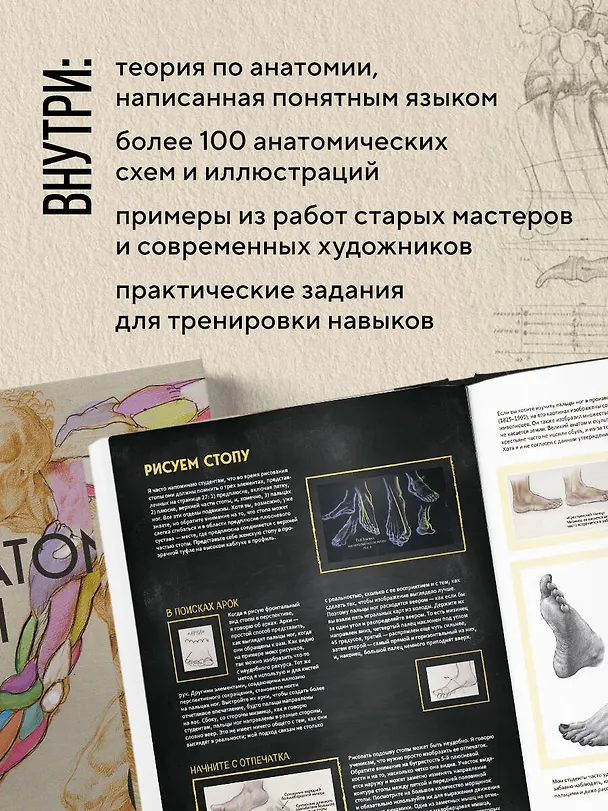 Книга Анатомия Рэя. Большое руководство по рисунку для художников (Рэй Бустос) — 6