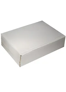 Шкатулка (28х20х8) (7123001)