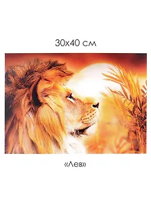 Набор для творчества. Алмазные узоры "Лев", 30 х 40 см