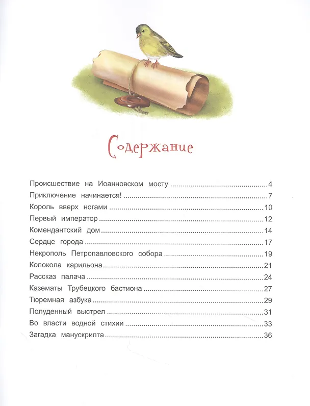 Книга Чижик-Пыжик и загадка Петропавловской крепости (Юлия Иванова) — 2