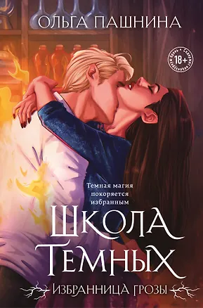 Книга Школа темных. Избранница грозы (клатчбук) (Ольга Пашнина)