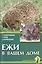 Ежи в вашем доме. Содержание. Уход. Кормление — 2436495 — 1