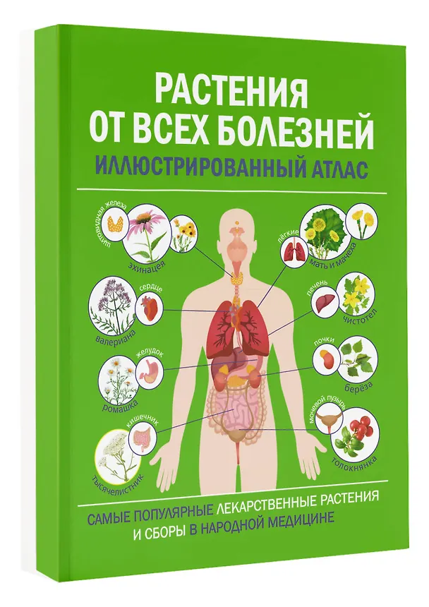 Книга Растения от всех болезней. Иллюстрированный атлас () — 4