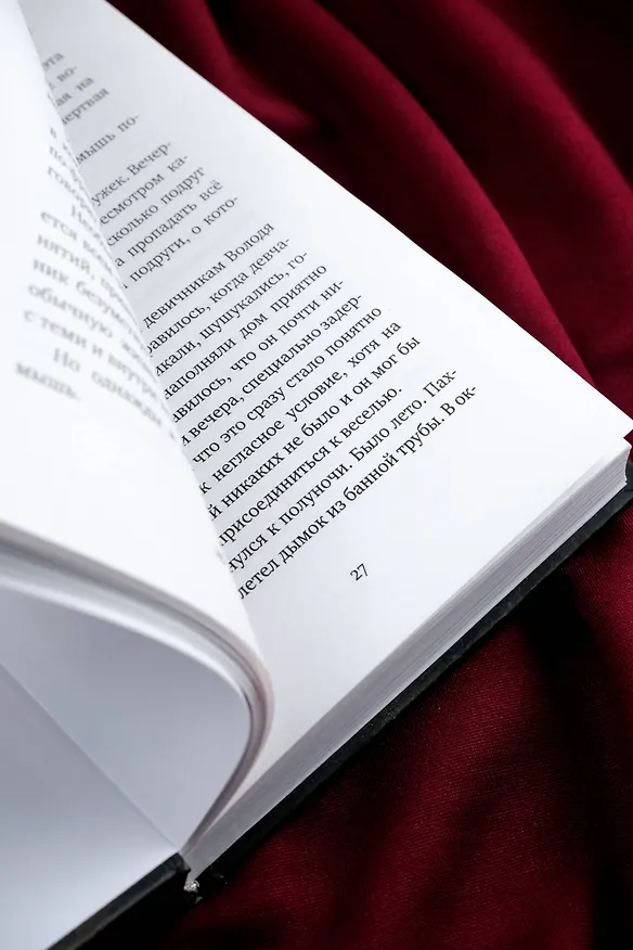 Книга Невидимый Саратов (Михаил Левантовский) — 11