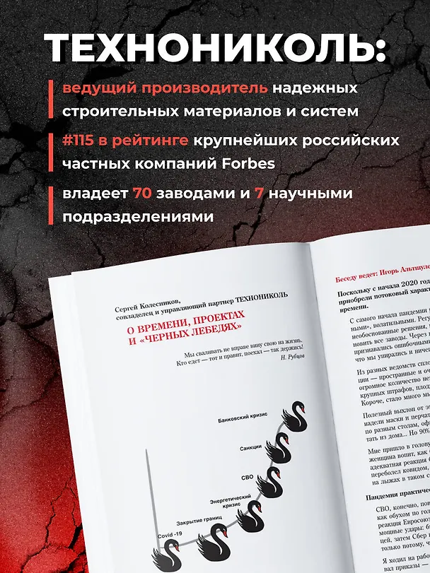 Книга Время разлома. ТЕХНОНИКОЛЬ — главная роль (Сергей Колесников, Игорь Альтшулер, Владимир Марков) — 6