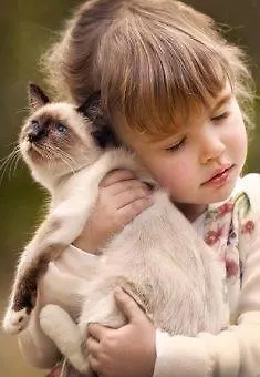 Пазл Castorland 500 эл., 48*34см. Настоящая любовь B-52943 346184