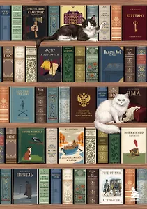 Блокнот. Книжный шкаф. (А5, твердая обложка, 64 л.) (у.н.)