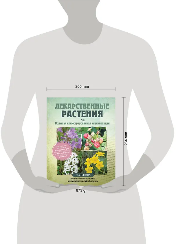 Книга Лекарственные растения. Большая иллюстрированная энциклопедия (Татьяна Ильина) — 5