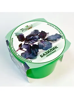 Набор для выращивания "Зелень круглый год" Базилик фиолетовый (411845) 2371575