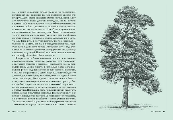 Книга Загадки леса. Удивительная жизнь зеленой экосистемы планеты (Адриане Лохнер) — 6