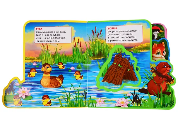 Книга Лесные животные (Владимир Степанов) — 3