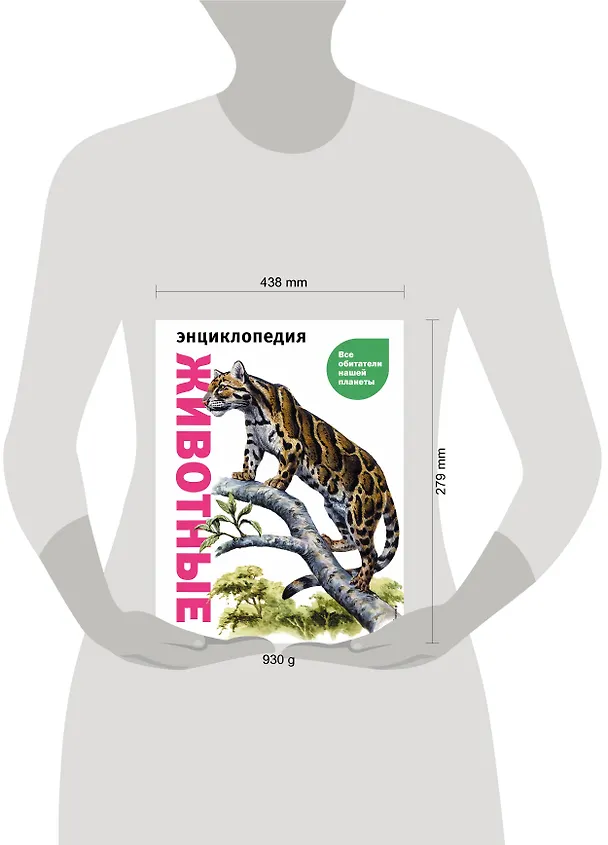 Книга Животные. Все обитатели нашей планеты (Дэвид Элдертон) — 15