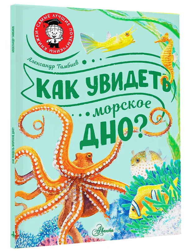 Книга Как увидеть морское дно? (Александр Тамбиев) — 4