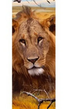 Закладка 3D 73 (Мир открытий) 2288113