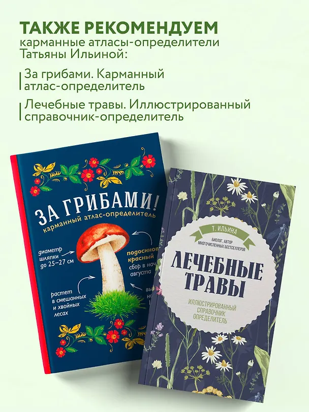Книга Аптечный огород. Справочник по сбору, хранению и применению целебных растений (новое оформление) (Татьяна Ильина) — 11