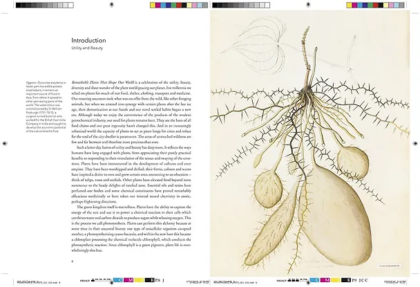 Книга Remarkable plants (Уильям Байнум, Хелен Байнум) — 4