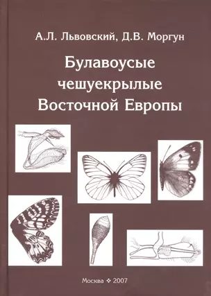 Булавоусые чешуекрылые Восточной Европы — 2705061 — 1
