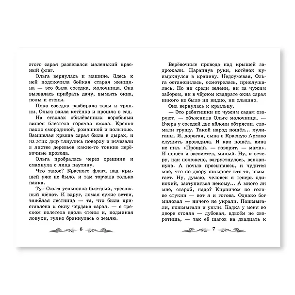 Книга Тимур и его команда (Аркадий Гайдар) — 5