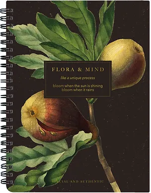 Тетрадь в клетку Be Smart, "Flora. Инжир", 80 листов 3032674