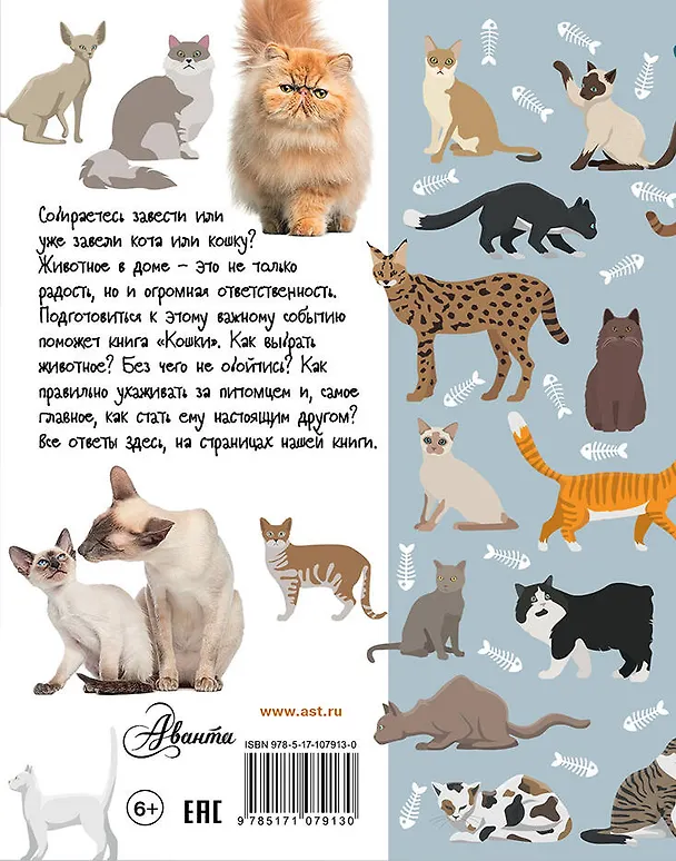 Книга Кошки (Мария Лагоша) — 2