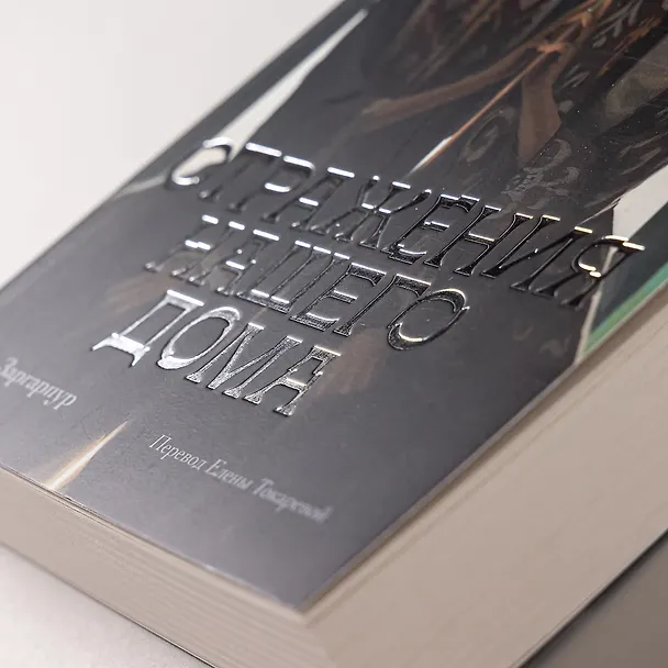 Книга Отражения нашего дома (Диба Заргарпур) — 7