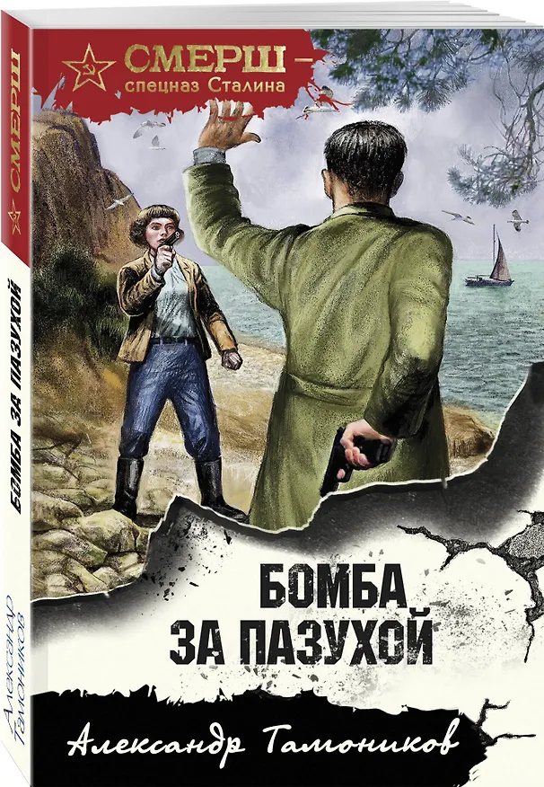 Книга Бомба за пазухой (Александр Тамоников) — 4