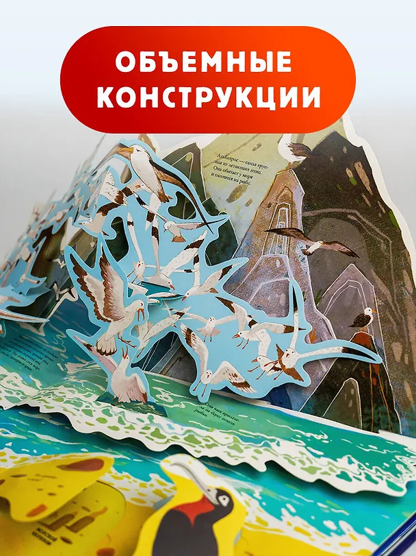 Книга Подводный мир () — 5