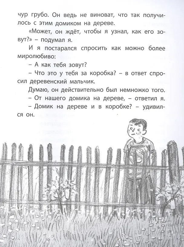 Книга Домик на дереве (Герда Райдт) — 5
