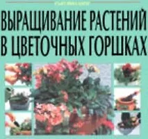 Выращивание растений в цветочных горшкох