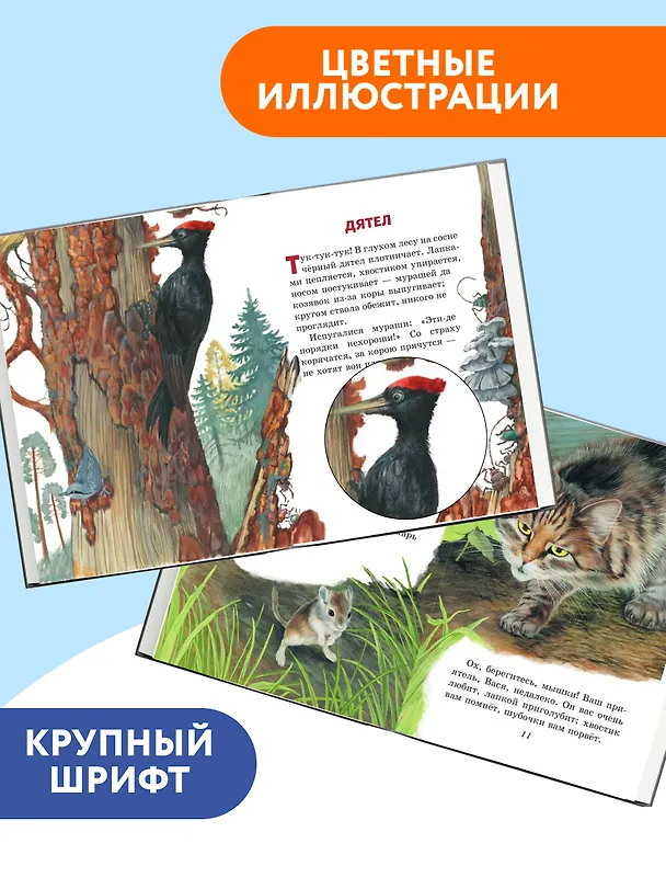 Книга Любимые сказки и рассказы (Константин Ушинский) — 6