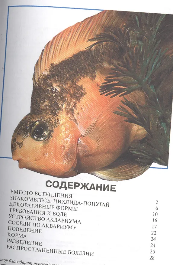 Книга Цихлида-попугай (цвет) (Александр Гуржий) — 2