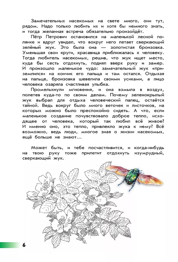 Книга Великан на поляне, или Первые уроки экологической этики (Андрей Плешаков, Александр Румянцев) — 7