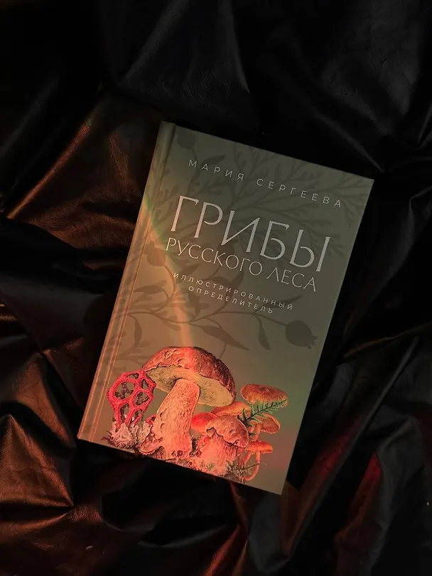 Книга Грибы русского леса. Иллюстрированный определитель (Мария Сергеева) — 5