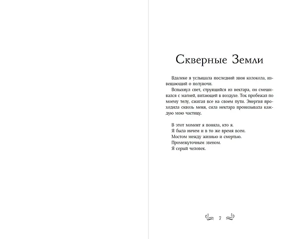Книга Скверные Земли (#4) (Стейси Мэри Браун) — 7