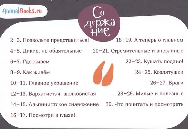 Книга Я козел (Борис Кузнецов) — 2