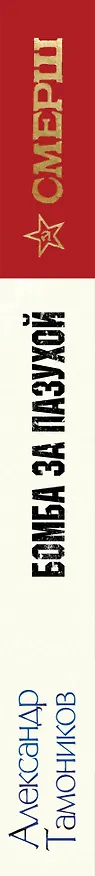 Книга Бомба за пазухой (Александр Тамоников) — 3