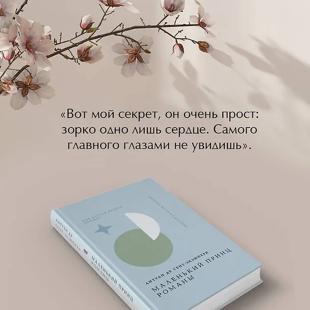 Книга Маленький принц. Романы (Антуан де Сент-Экзюпери) — 9