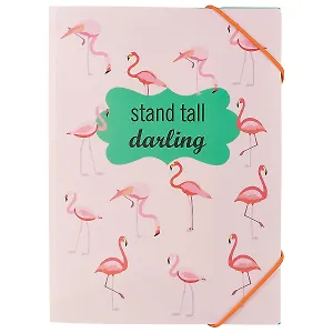 Папка на резинке «Фламинго», А5