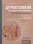 Дерматология в общеврачебной практике. Практическое руководство — 2975634 — 1