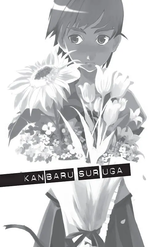 Истории о монстрах. Том 2 (Bakemonogatari). Ранобэ 2981427 — 3
