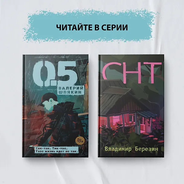 Книга 0,5 (Валерий Шпякин) — 10