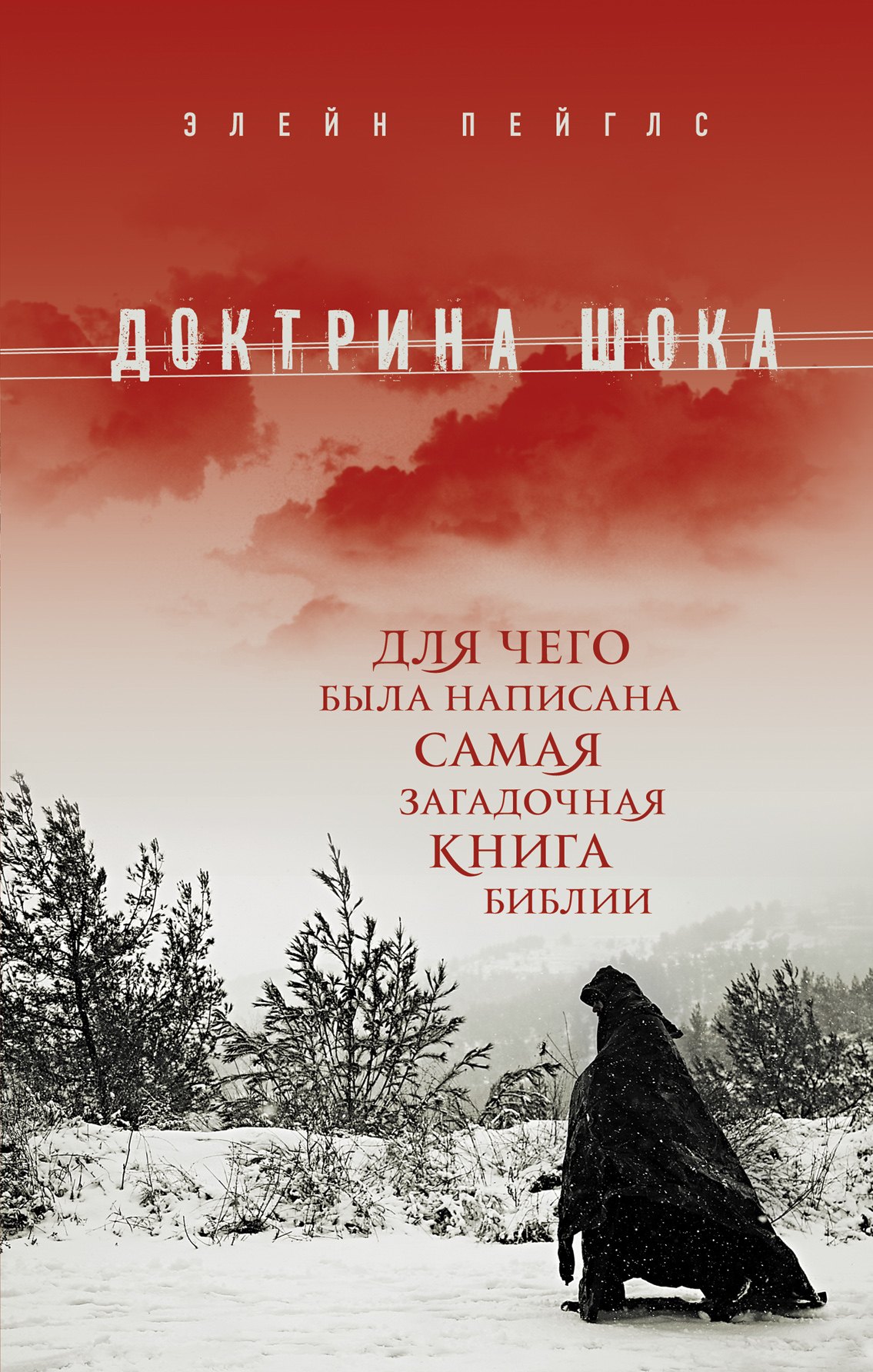 Доктрина шока книга