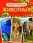 Энциклопедия животных. Взрослые и детёныши — 2364104 — 1