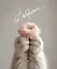 Тетрадь общая «Cat & Flowers», 96 листов в клетку, А5, в ассортименте - Listoff — 3149254 — 3