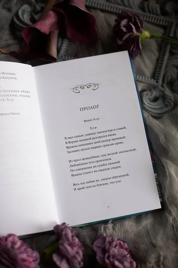 Книга Ромео и Джульетта. Вечные истории. Young Adult (Уильям Шекспир) — 13