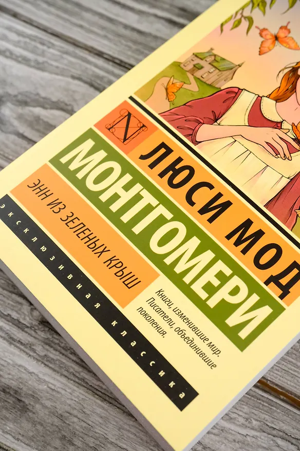 Книга Энн из Зеленых Крыш (Люси Мод Монтгомери) — 9